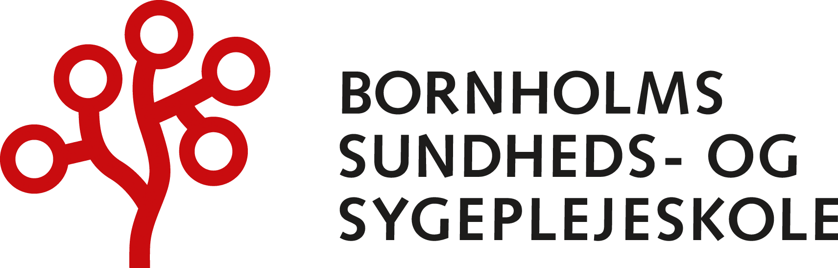 Bornholms Sundheds- og Sygepleskole